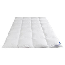 Böhmerwald feather duvet