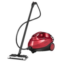 Costway steam cleaner
