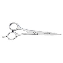Haryali London hairdressing scissors