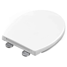 STOREMIC toilet seat