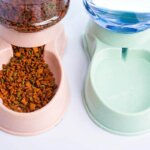 automatic cat feeder