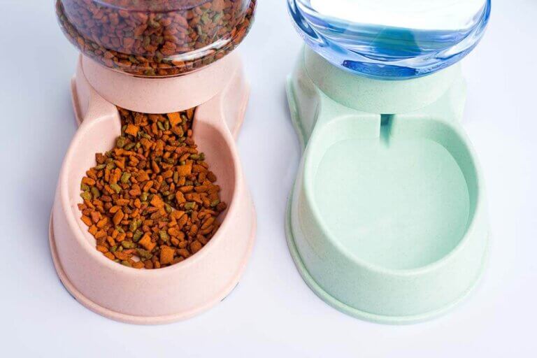 automatic cat feeder