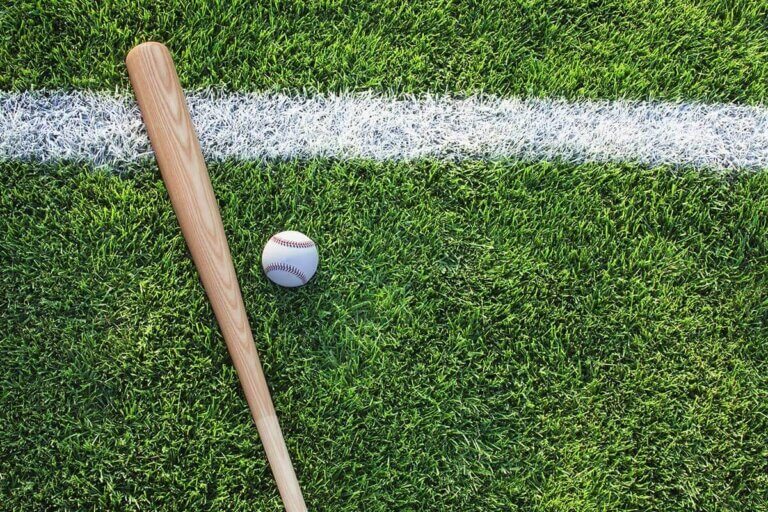 baseball bat