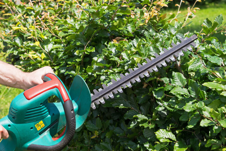 cordless hedge trimmer