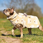 dog bathrobe