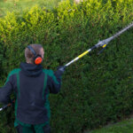 extendable hedge trimmer
