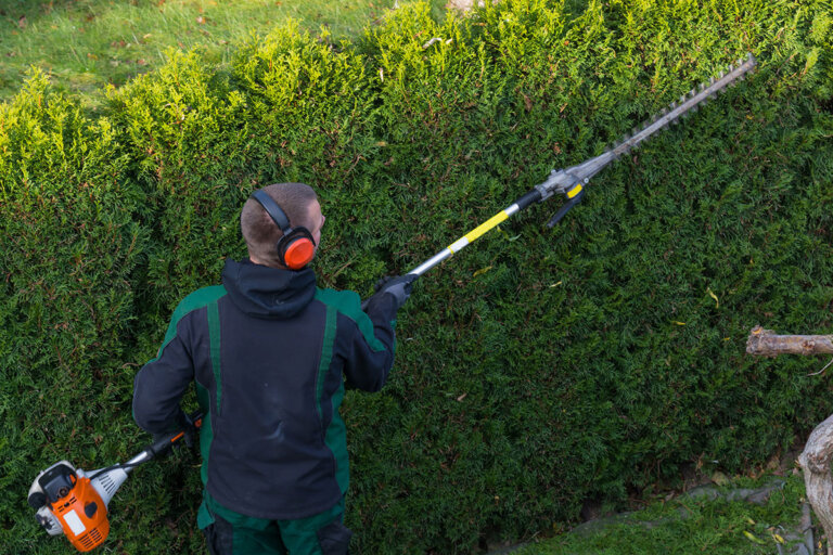 extendable hedge trimmer