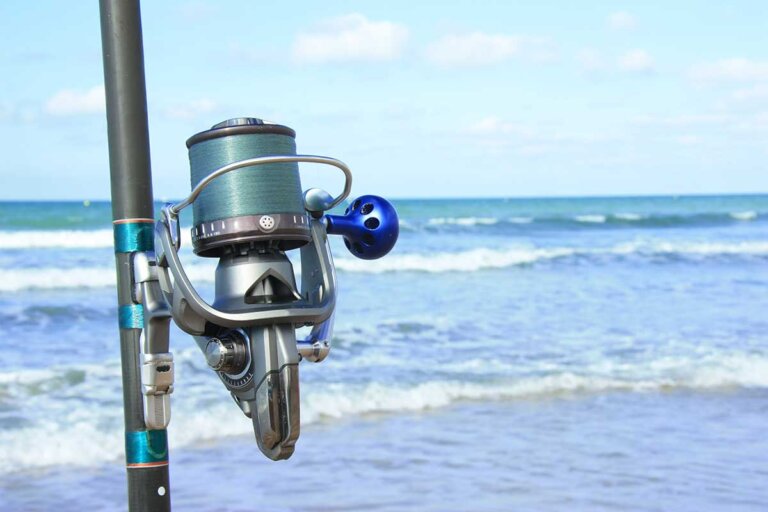 fishing reel