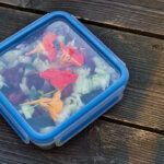 food storage container