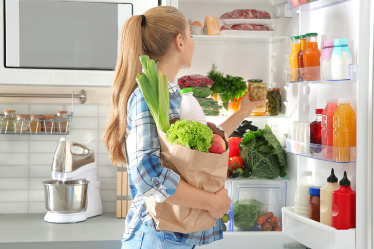 fridge