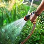 garden hose spray gun