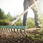 garden rake