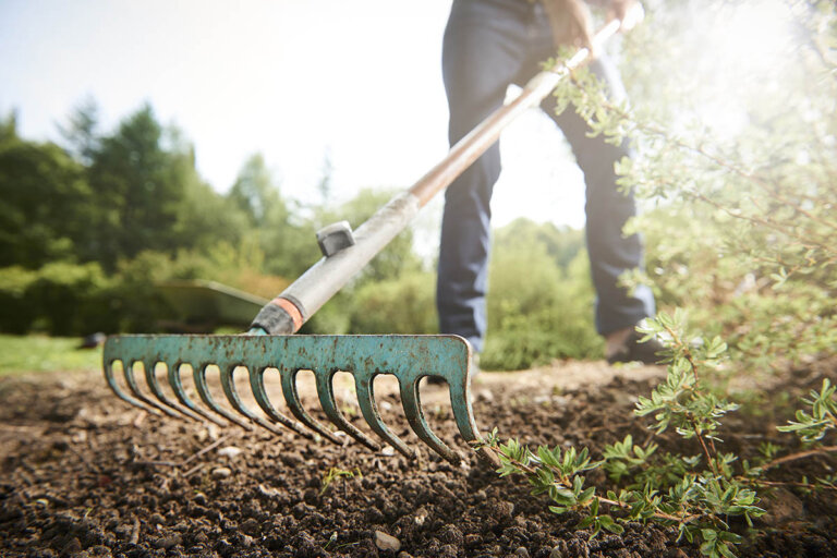 garden rake