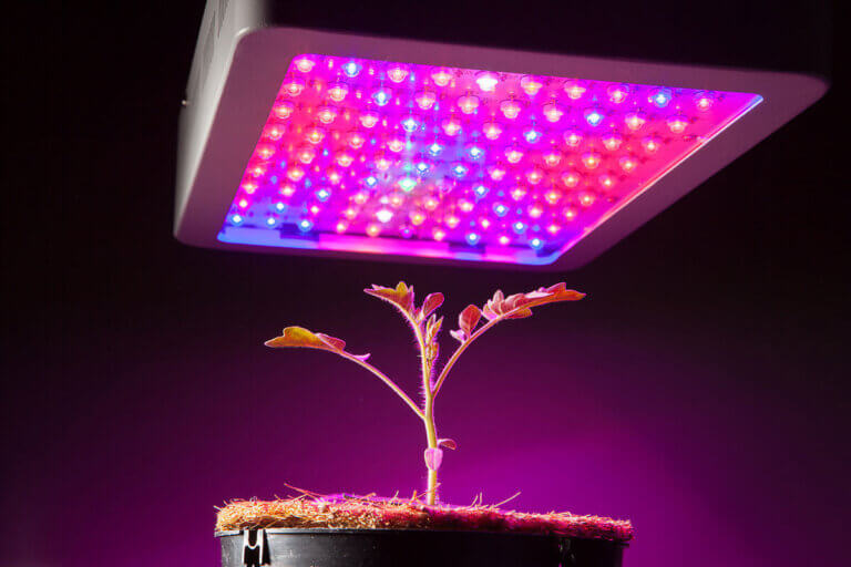 grow light