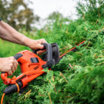 hedge trimmer