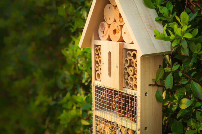 insect hotel