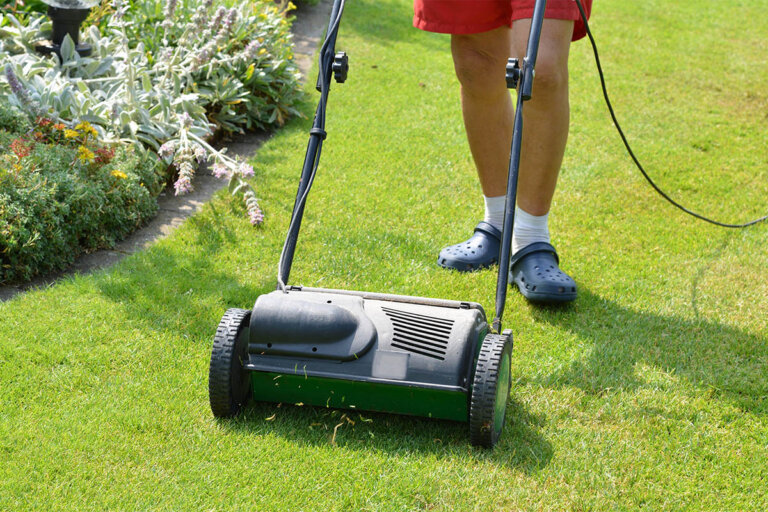 lawn aerator