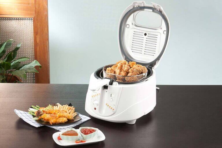 mini deep fryer