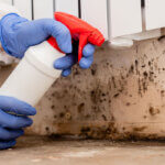 mold remover
