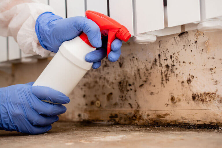 mold remover