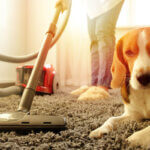 pet hair vacuum cleaner