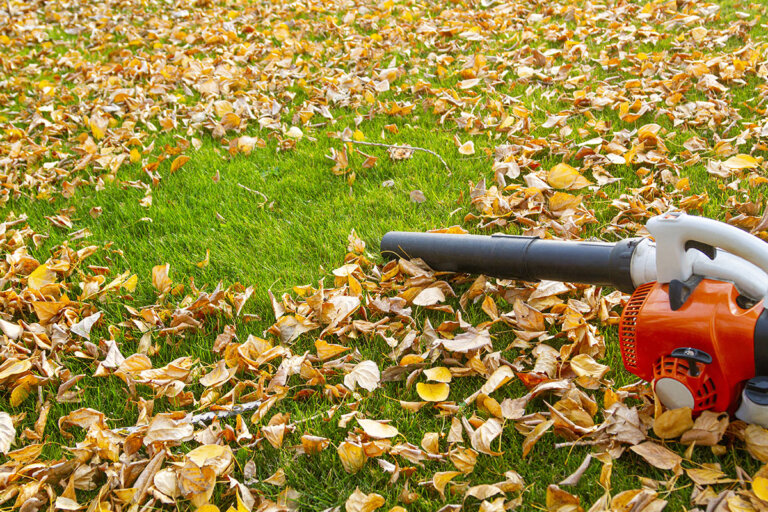 petrol leaf vacuum