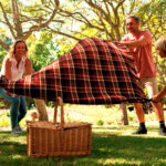 picnic blanket