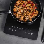 portable induction cooker