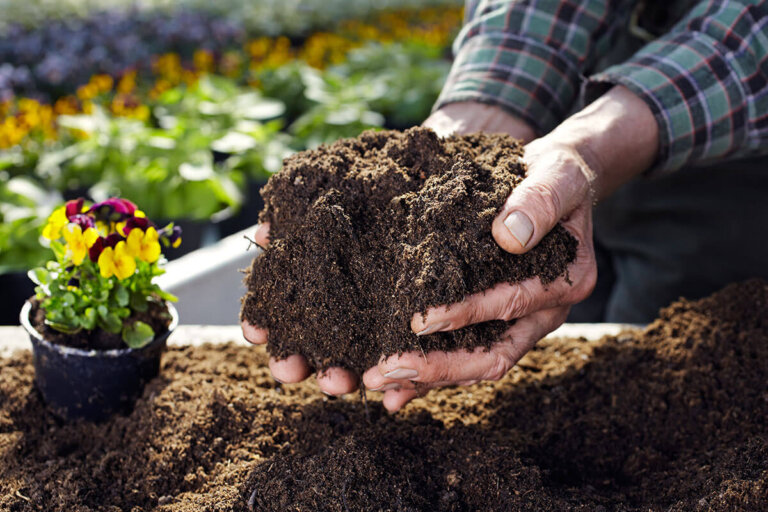 potting soil