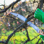 pruning saw