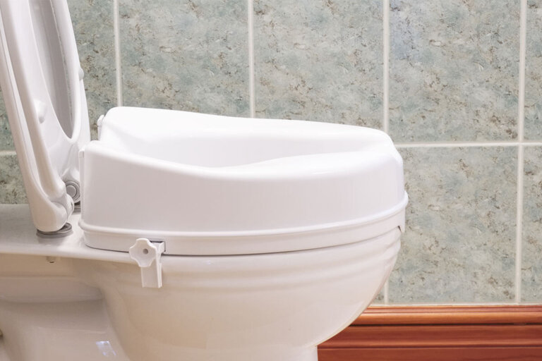 raised toilet seat