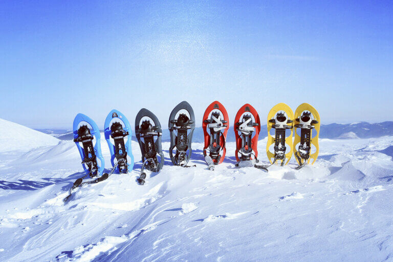 snowshoe