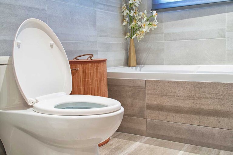 soft close toilet seat
