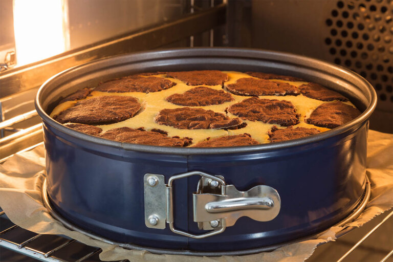 springform cake tin