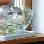 sprouting jar