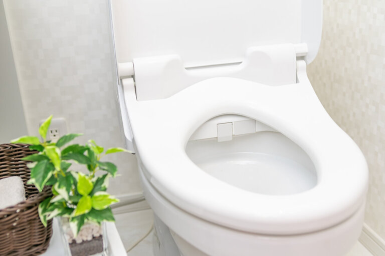 toilet seat