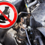 ultrasonic marten repellent