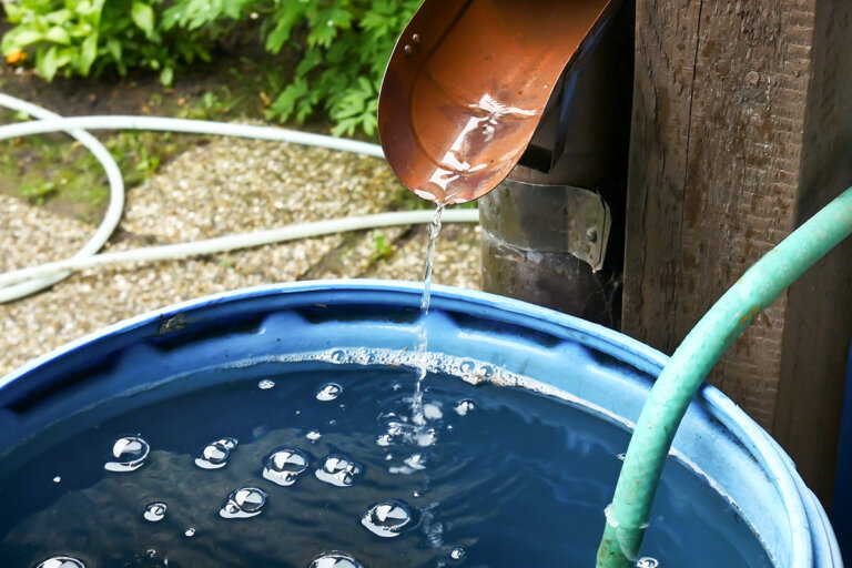 water barrel