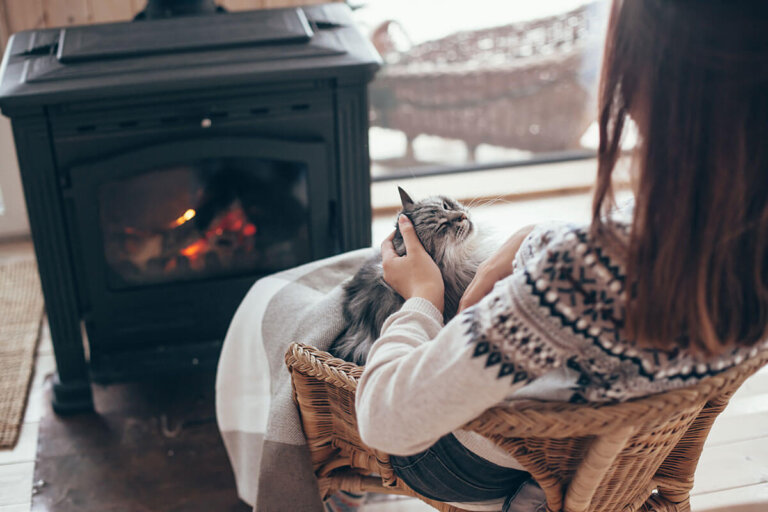wood burning stove